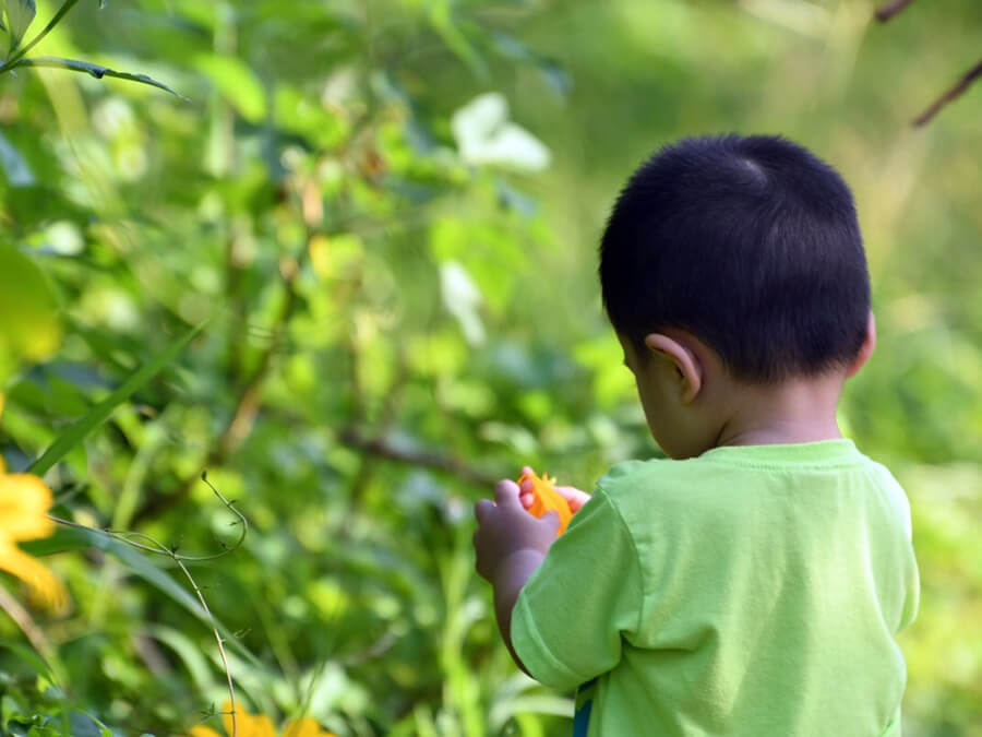 小さい男の子と緑